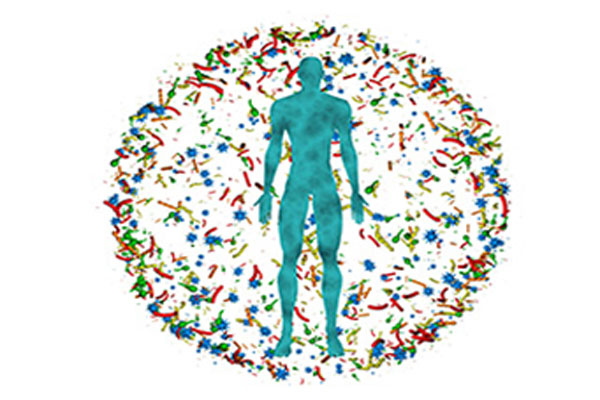 Meet The ‘Forgotten Organ’ That Makes Us Human