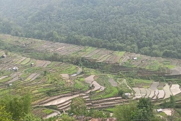 Indigenous Environmental Management and Climate Change Adaptation in Nagaland