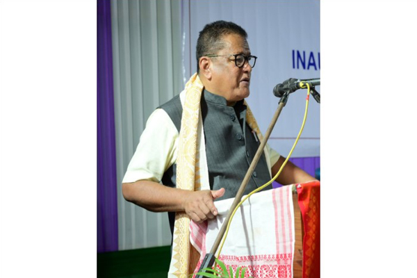 Dimasa Language Protection: Assam Forms Ministerial Panel